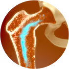 Improves Circulation